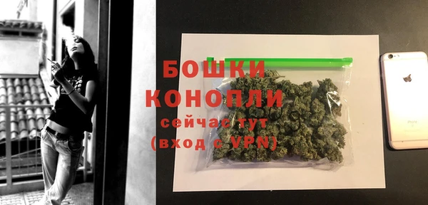 прущие грибы Осташков