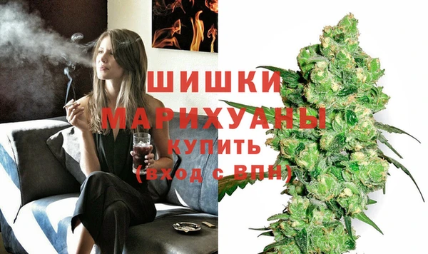 молекула духа Осинники