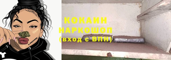 молекула духа Осинники