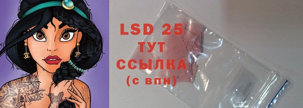 прущие грибы Осташков