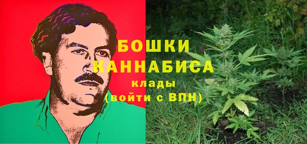 молекула духа Осинники