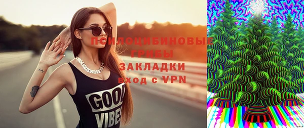 молекула духа Осинники