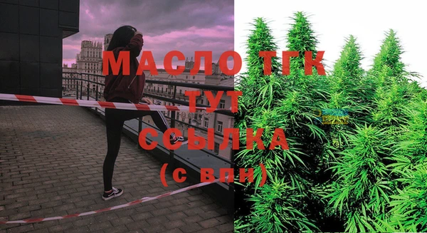 молекула духа Осинники