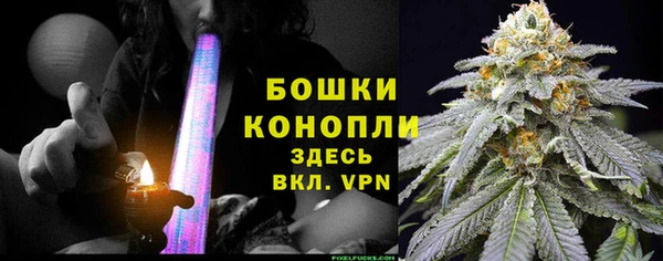 прущие грибы Осташков