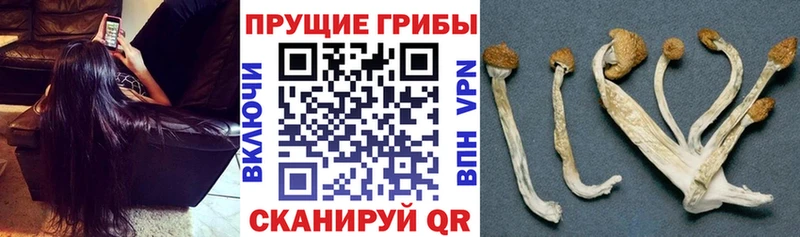 Галлюциногенные грибы Magic Shrooms  Тырныауз 